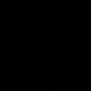 Meet your Posher, Kadin